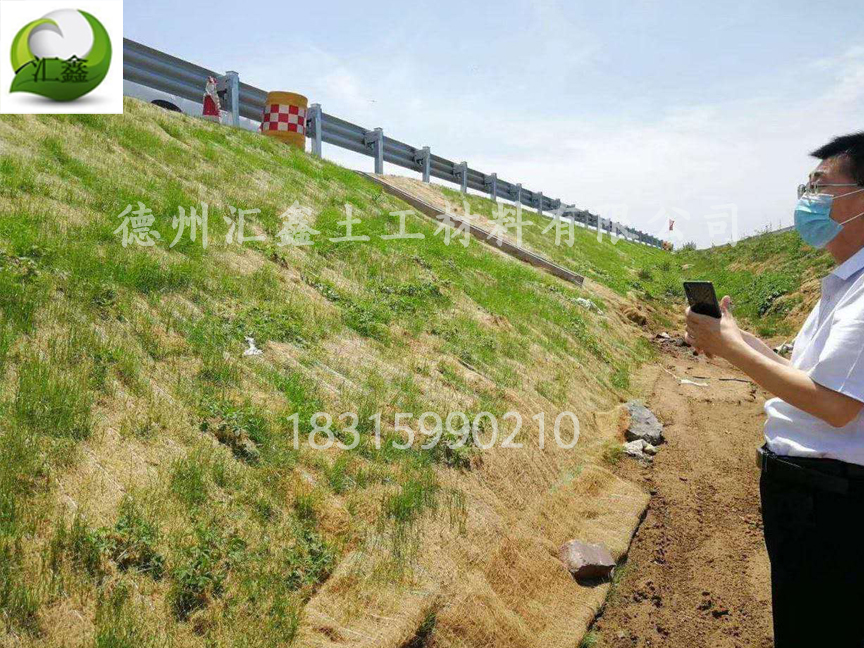 赣州寻乌县公路边坡植物纤维毯防护工程