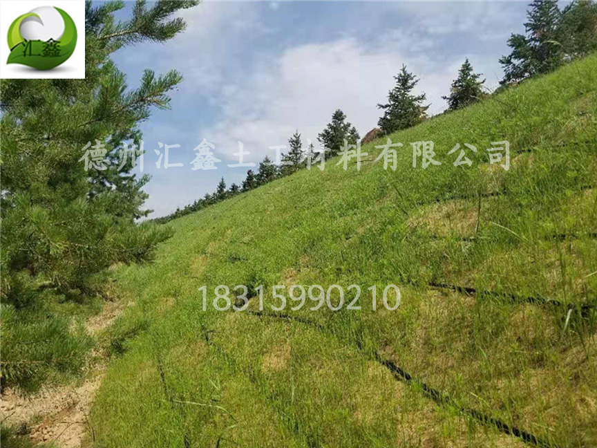 青藏高速G6段护坡工程用护坡植草毯