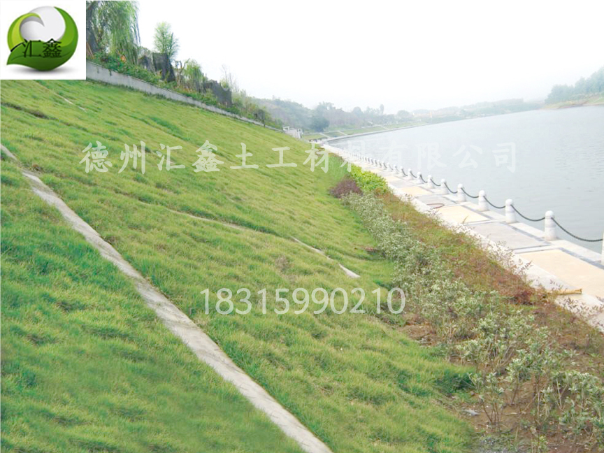 浙江温州小型河道湖泊治理用生态草毯