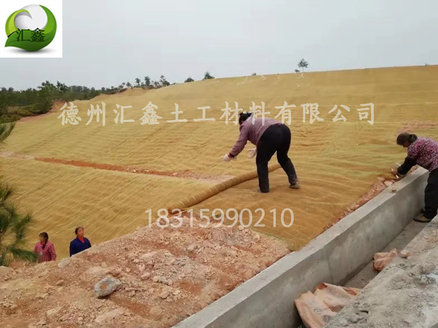 陕西渭南矿山复绿工程用植被毯