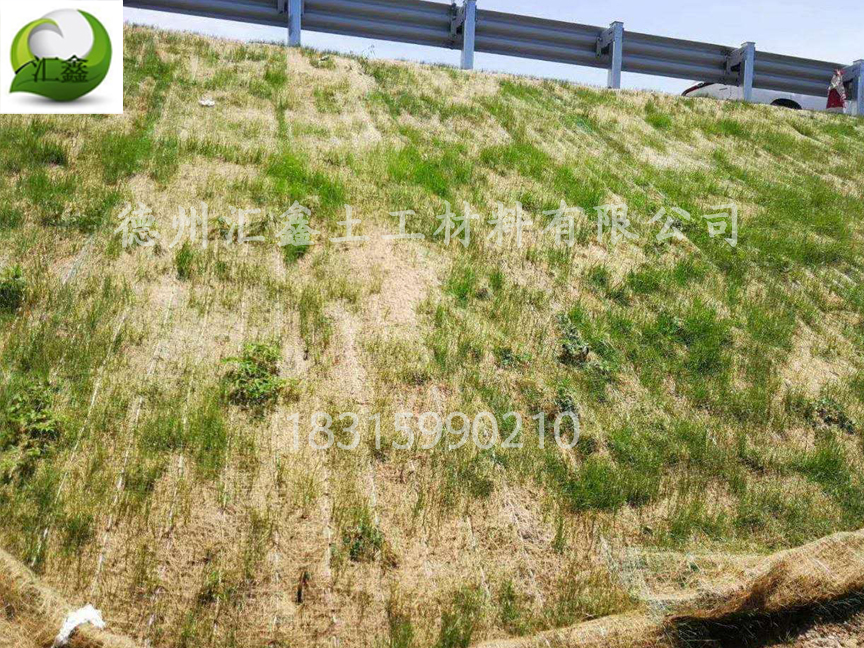植物纤维毯——边坡防护绿化