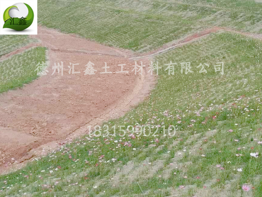 植物纤维毯铺完要不要覆土?(图2) 植物纤维毯铺完要不要覆土?(图2)