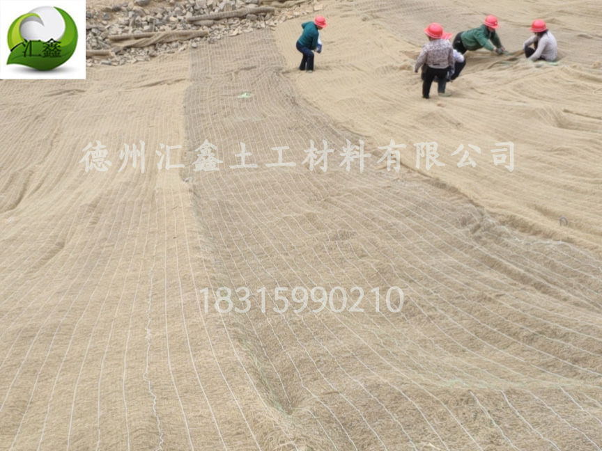 椰丝毯边坡绿化的防护性(图2)
