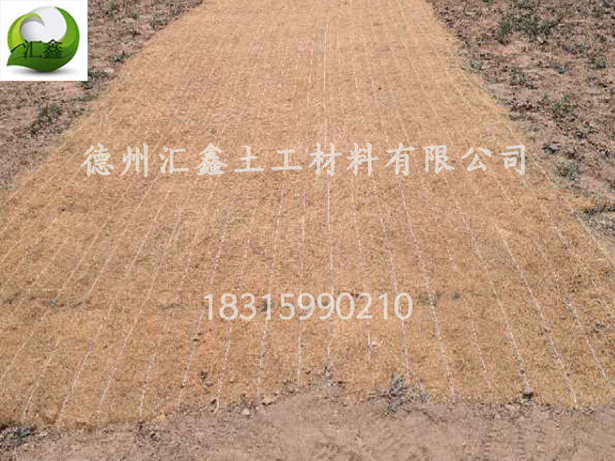 中铁七局西藏公司国道214项目护坡椰丝生态毯(图2)