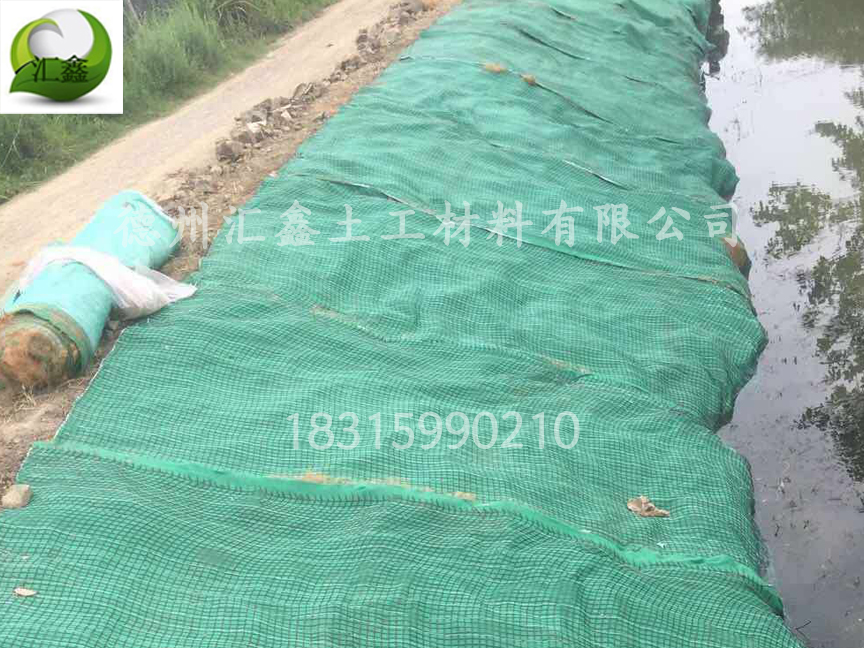 天津南站河道边坡绿化用抗冲生物毯(图1)