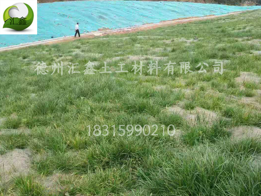 陕西渭南矿山复绿工程用植被毯(图1)