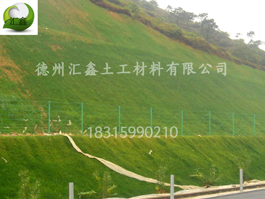 生态草毯是怎样护坡绿化的?(图1) 生态草毯是怎样护坡绿化的?(图1)