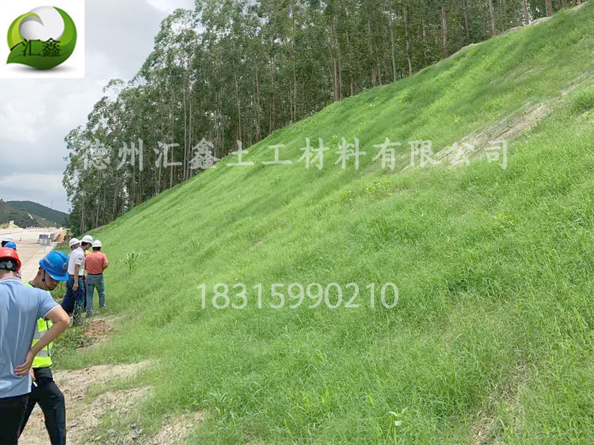 生态草毯是怎样护坡绿化的?(图2) 生态草毯是怎样护坡绿化的?(图2)