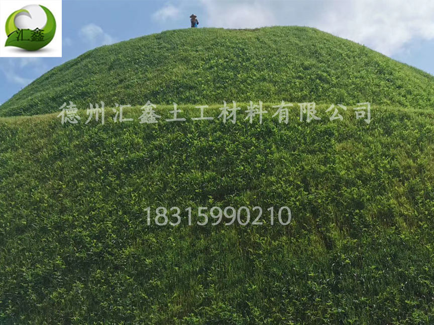 植物纤维毯——矿山生态修复(图3)