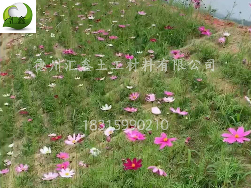 椰丝毯现货供应(图3) 椰丝毯现货供应(图3)