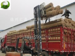 四川巴中刘经理订购了53000平方米椰丝毯装车中