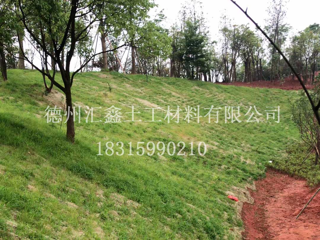 植物纤维毯的应用(图1) 植物纤维毯的应用(图1)
