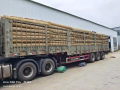 安徽马总订购78000平植生毯今日发货。